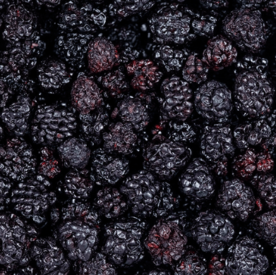 Biofruisec Mûres sauvages des Alpes Dinariques BIO - 180g vrac-zero-dechet-ecolo-lille-pilaterie