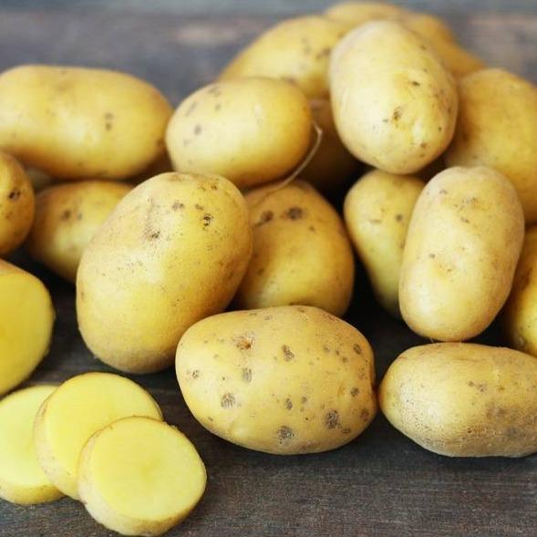 Le Drive tout nu Pomme de terre Ditta grenaille BIO (chair ferme) - 1kg vrac-zero-dechet-ecolo-lille-pilaterie