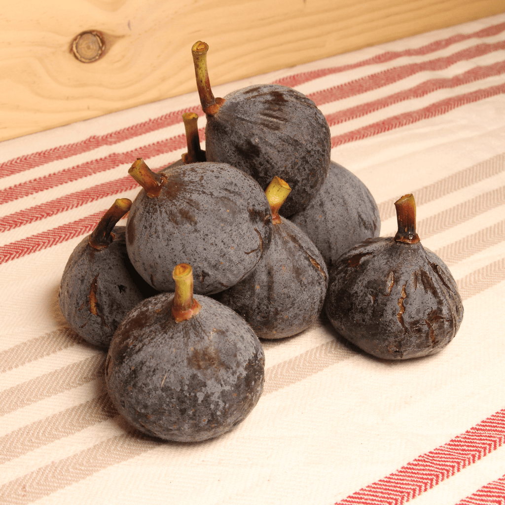 Spenninck Figues noires France BIO - 300g vrac-zero-dechet-ecolo-lille-pilaterie